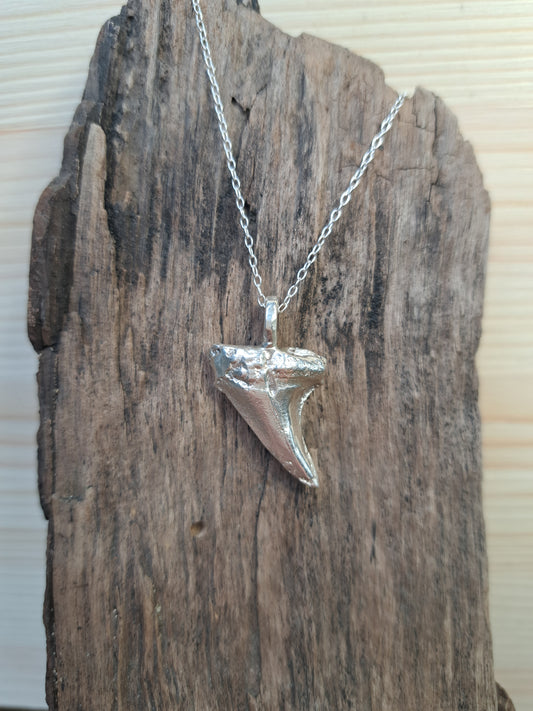 Sterling Silver Shark Tooth Necklace