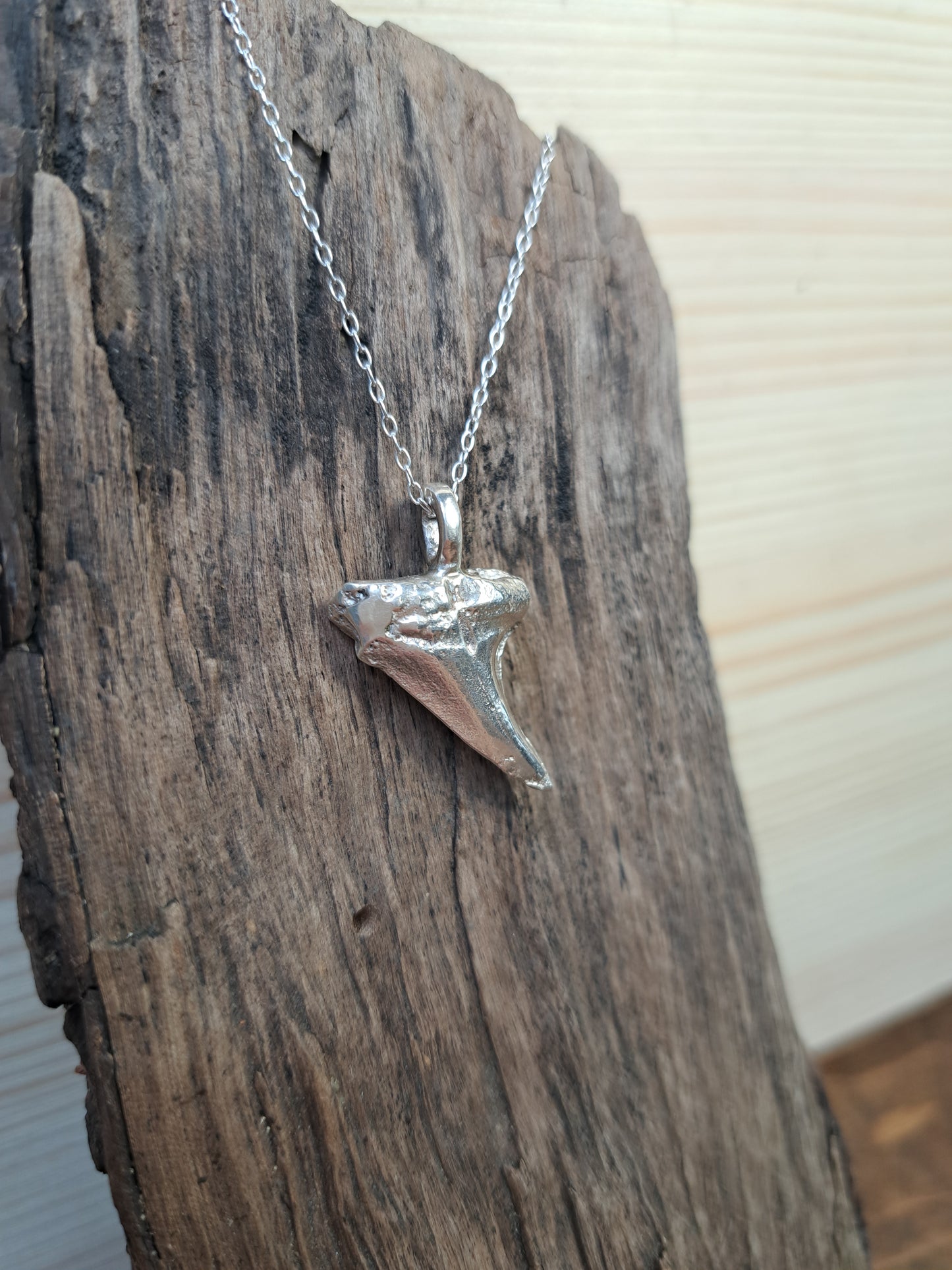 Sterling Silver Shark Tooth Necklace