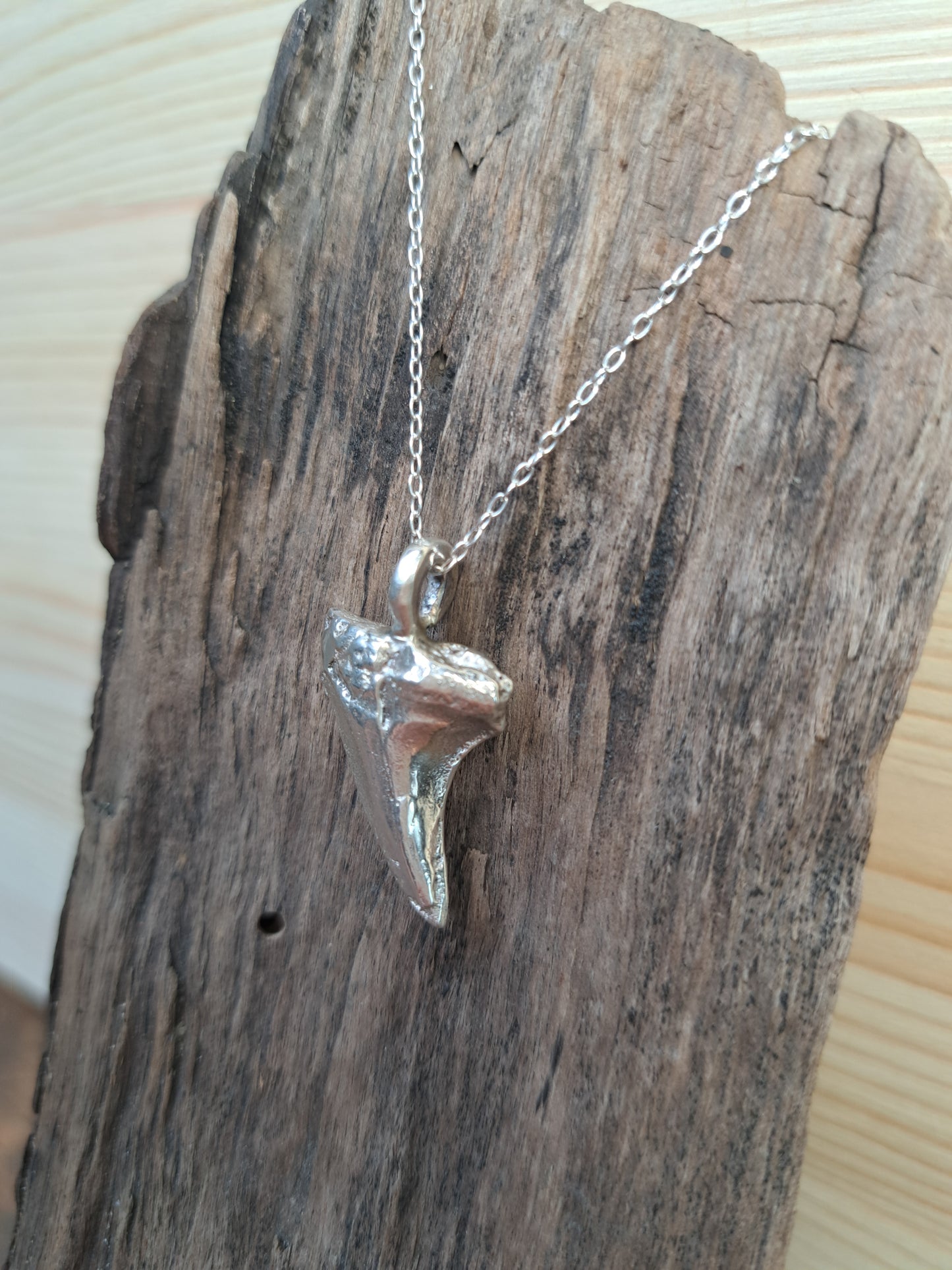 Sterling Silver Shark Tooth Necklace