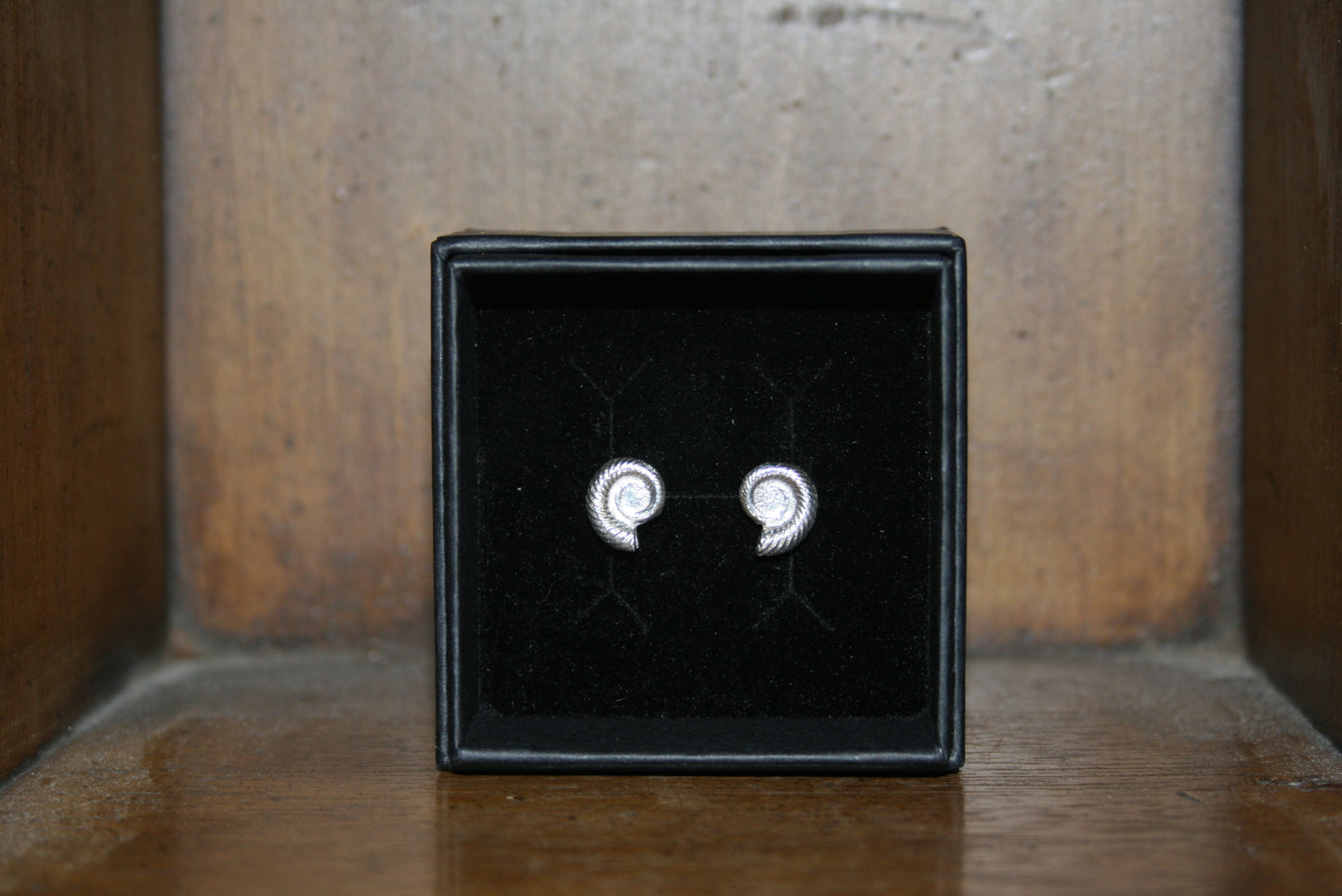 Ammonite Stud Earrings