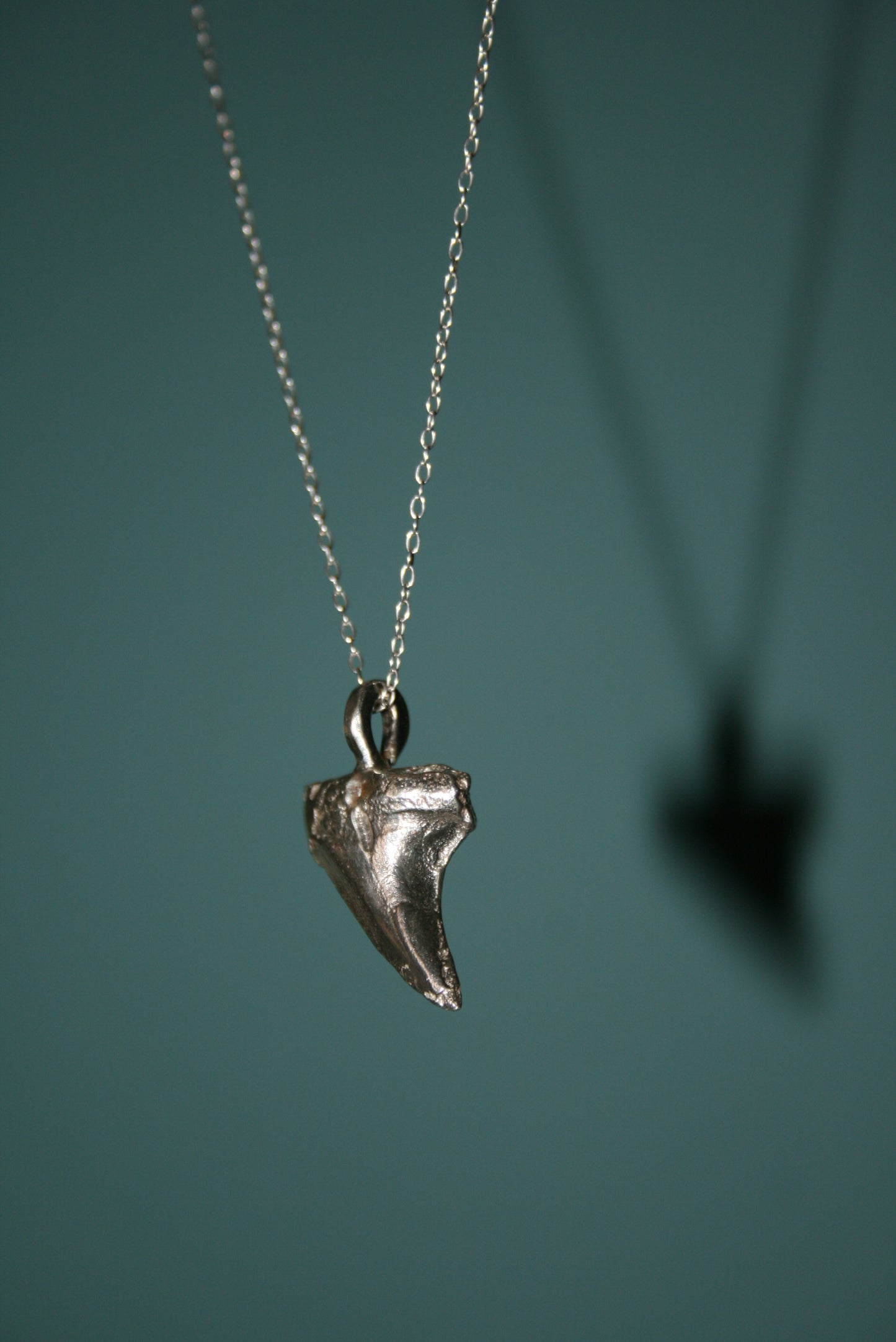 Sterling Silver Shark Tooth Necklace