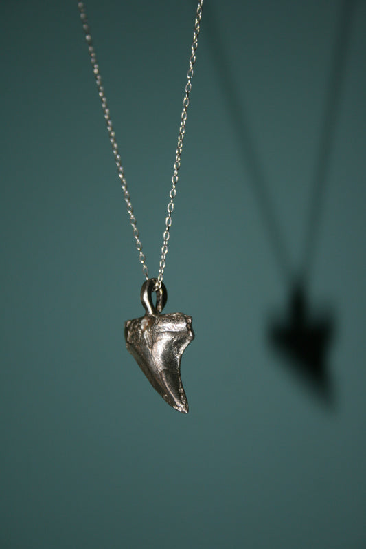 Sterling Silver Shark Tooth Necklace