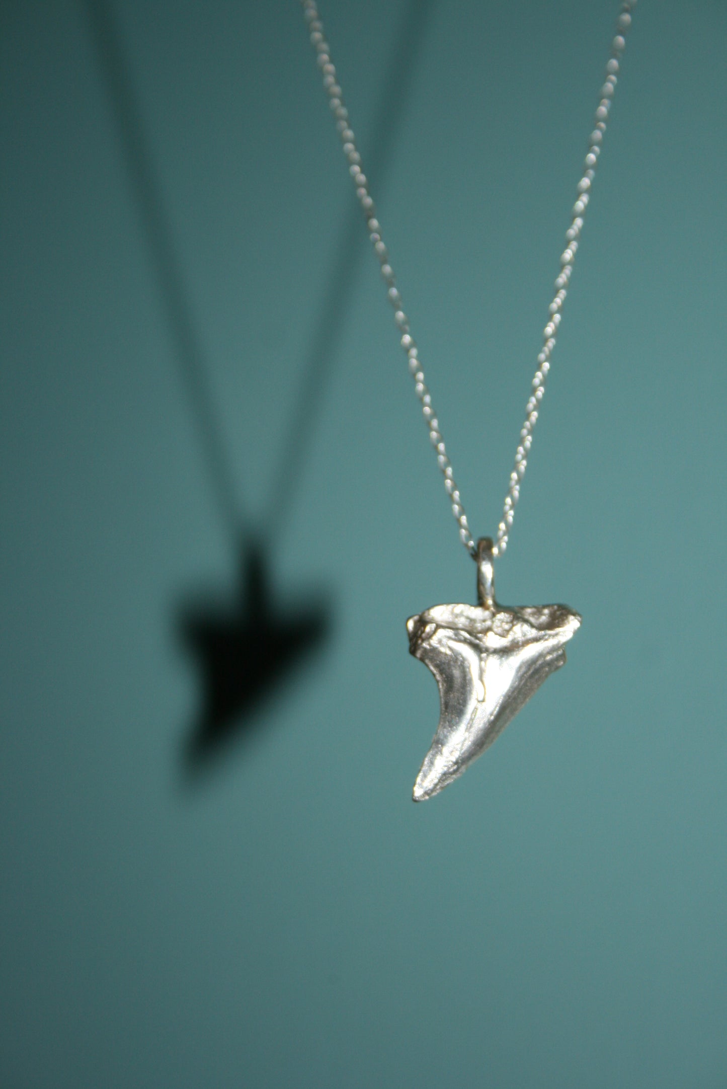 Sterling Silver Shark Tooth Necklace