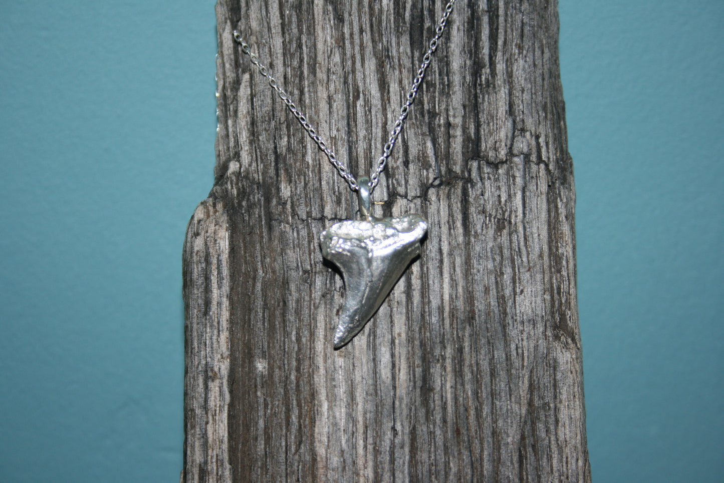 Sterling Silver Shark Tooth Necklace