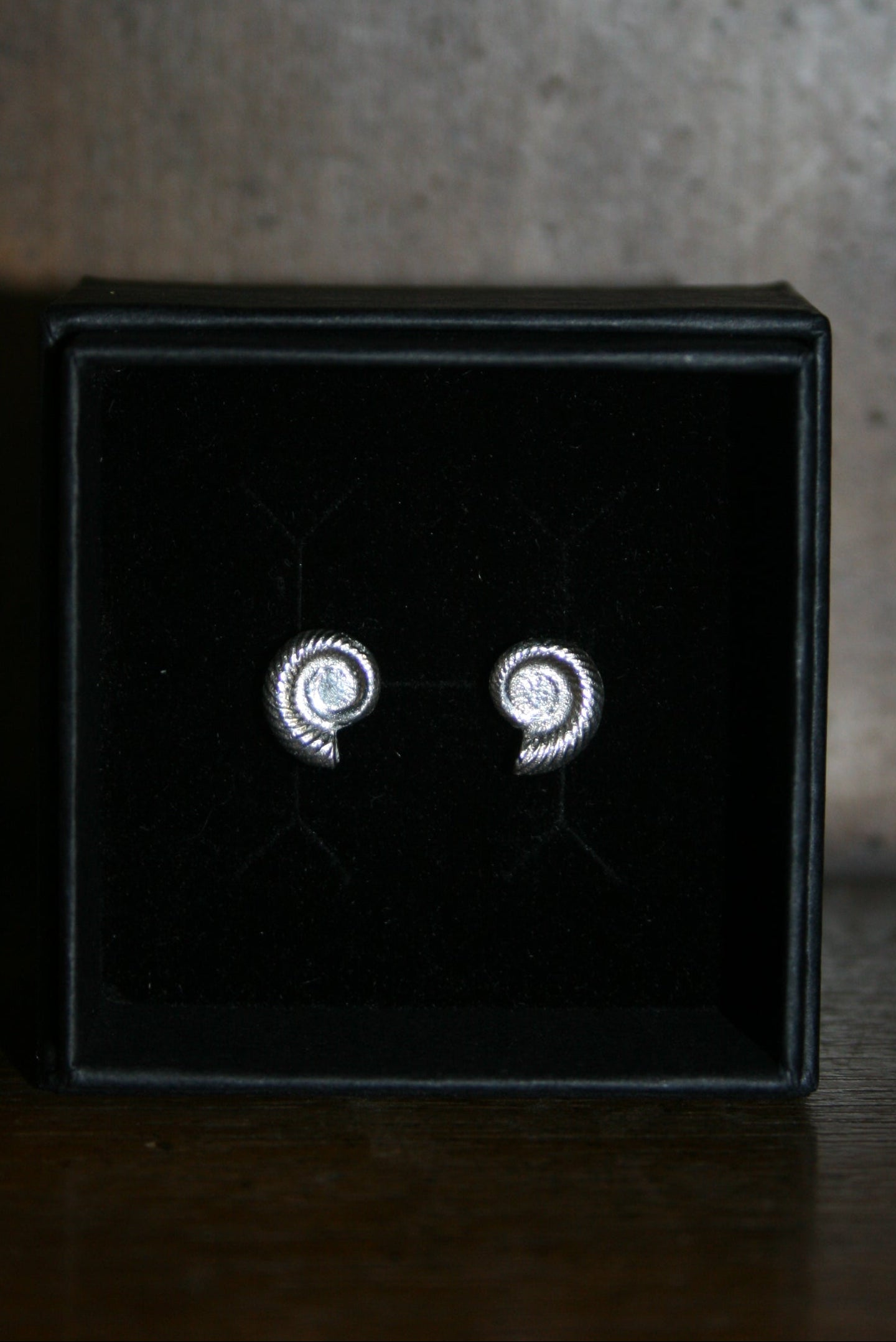 Ammonite Stud Earrings