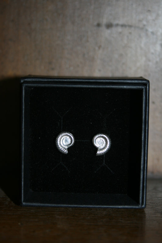 Ammonite Stud Earrings