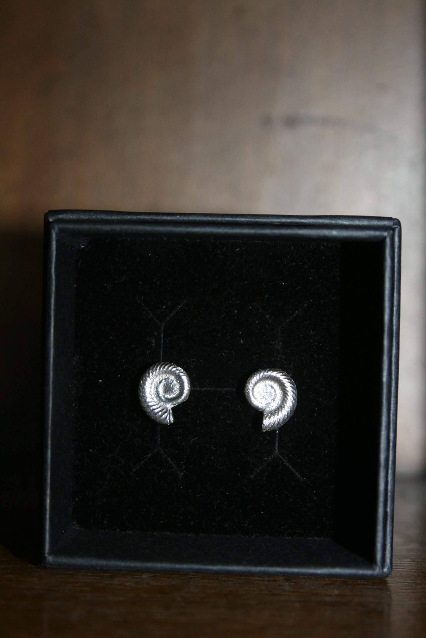 Ammonite Stud Earrings