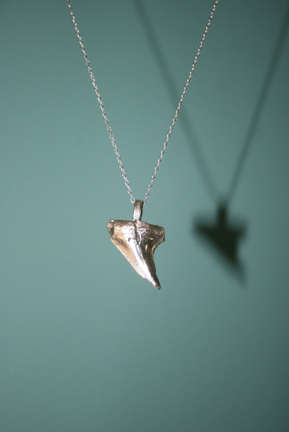 Shark Tooth Necklace