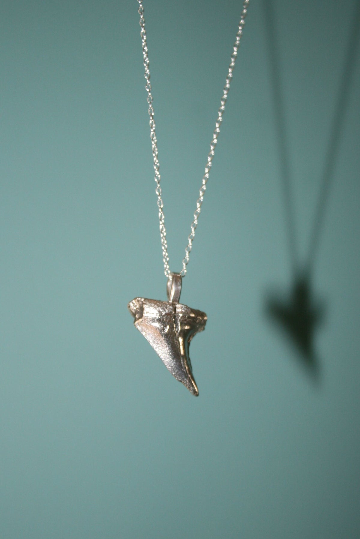 Shark Tooth Necklace